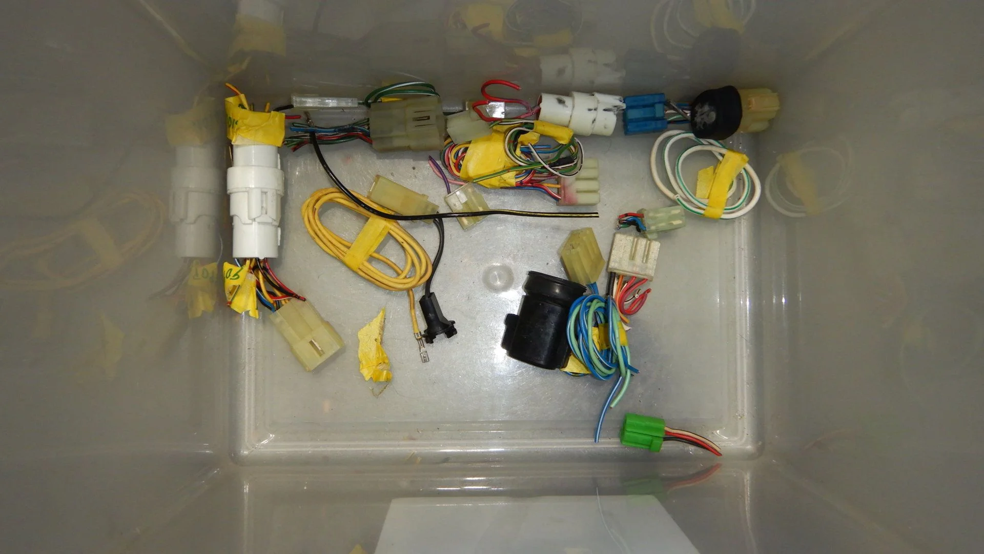 DSCN9293.webp