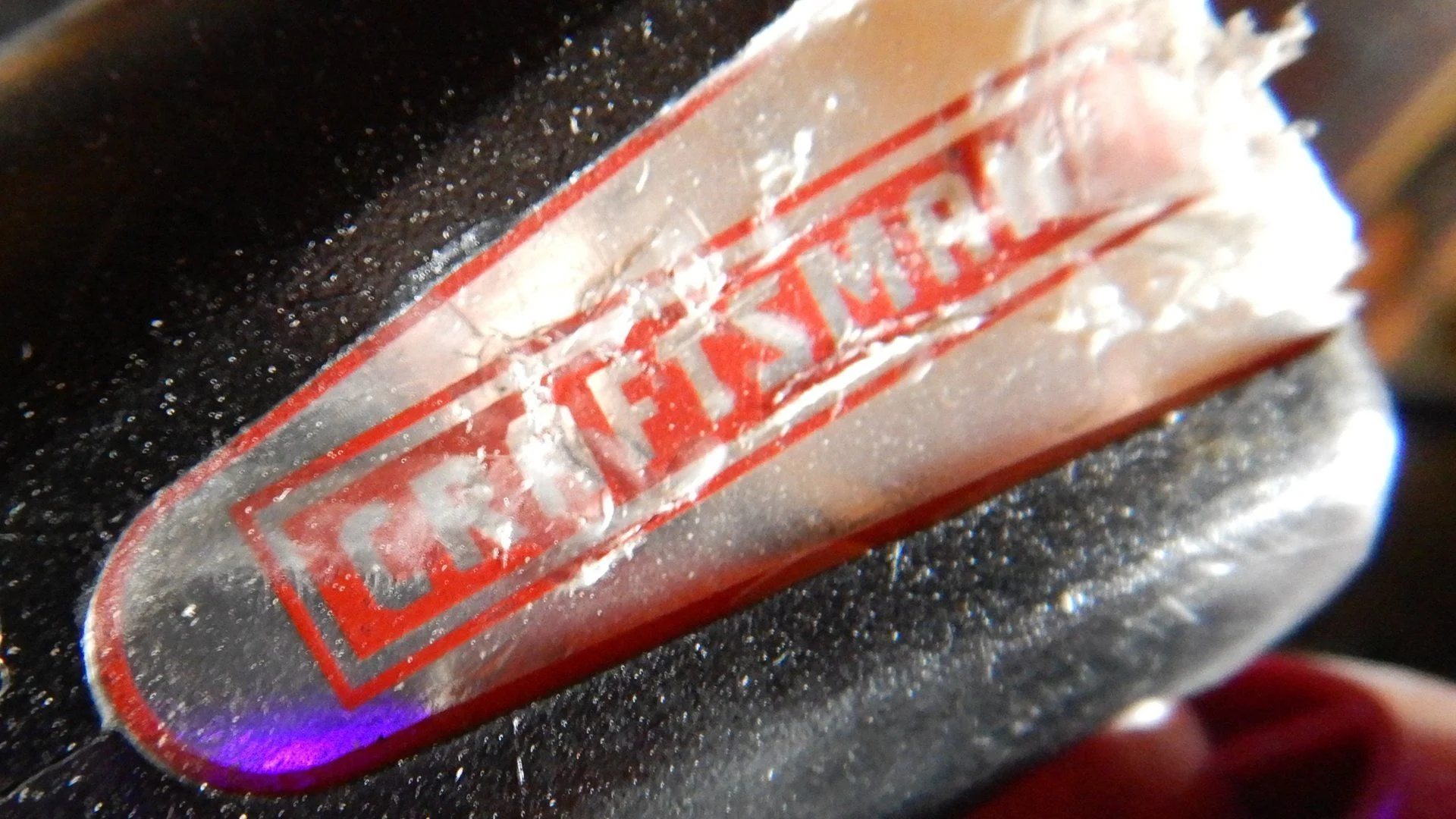 DSCN9387.webp