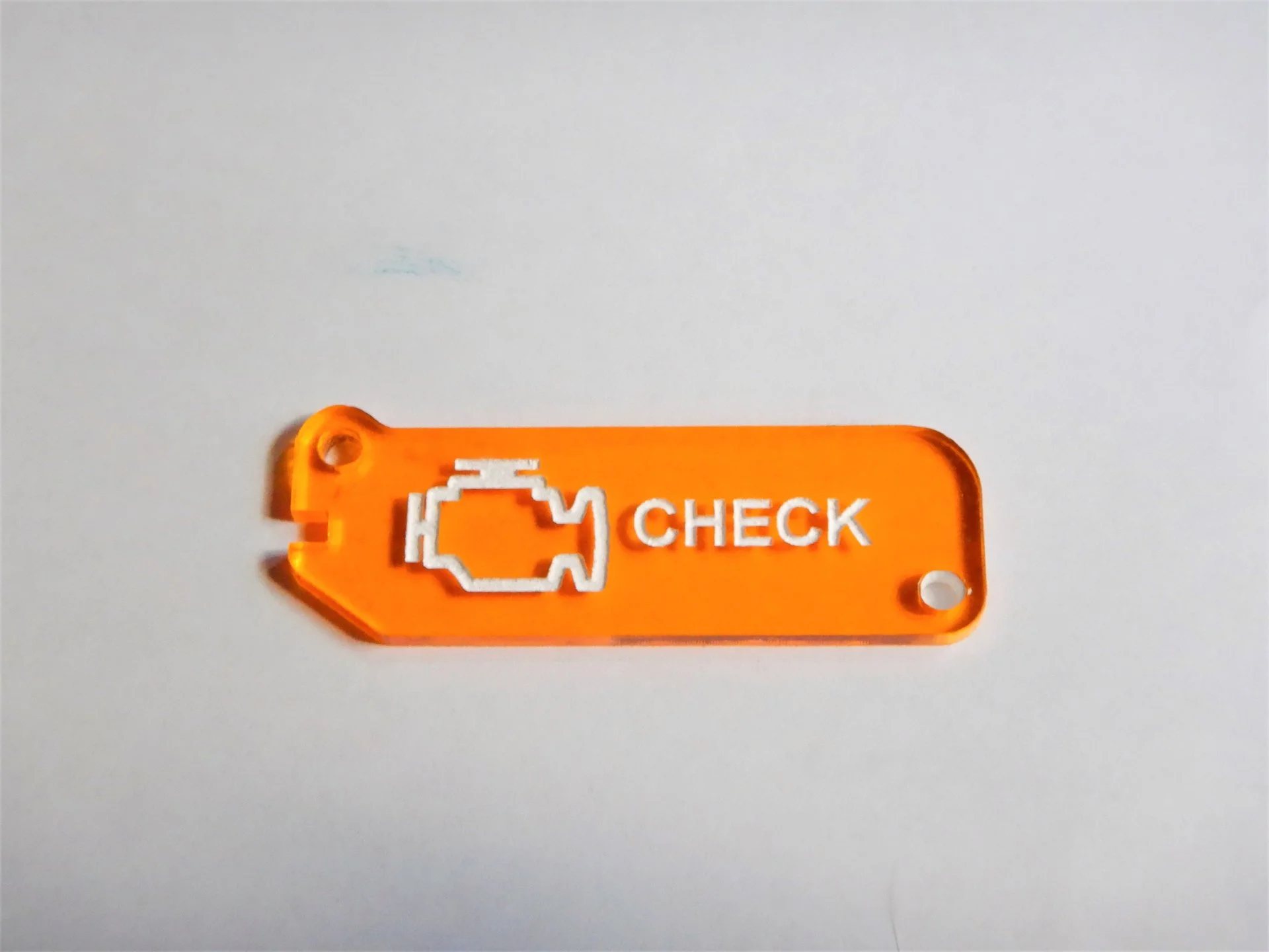 DSCN9398.webp