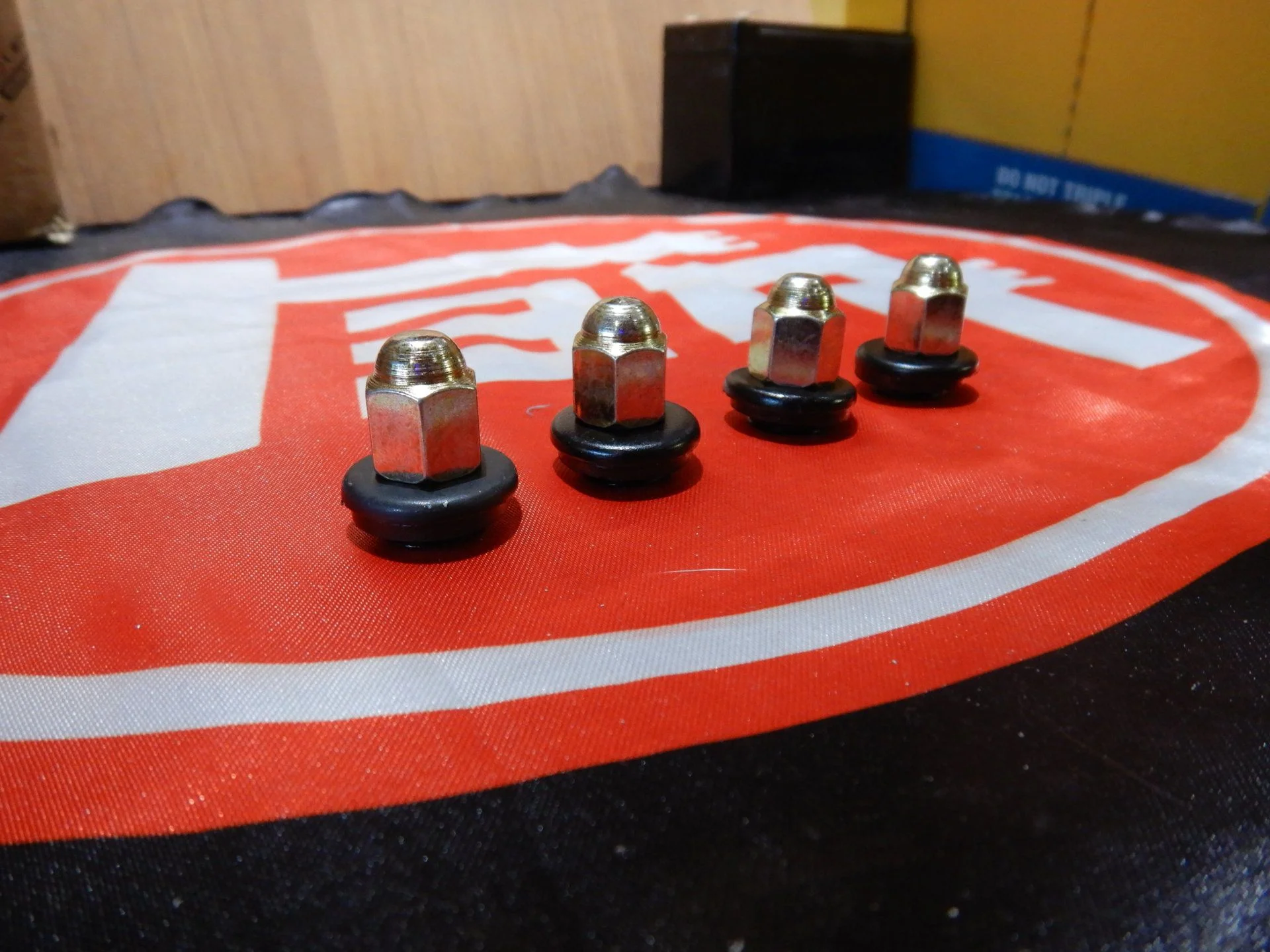 DSCN9581.webp
