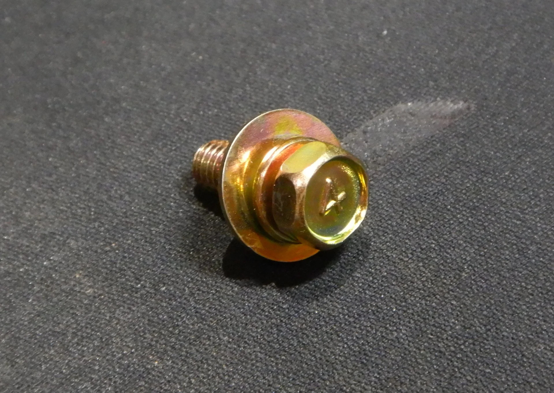 DSCN9729.webp