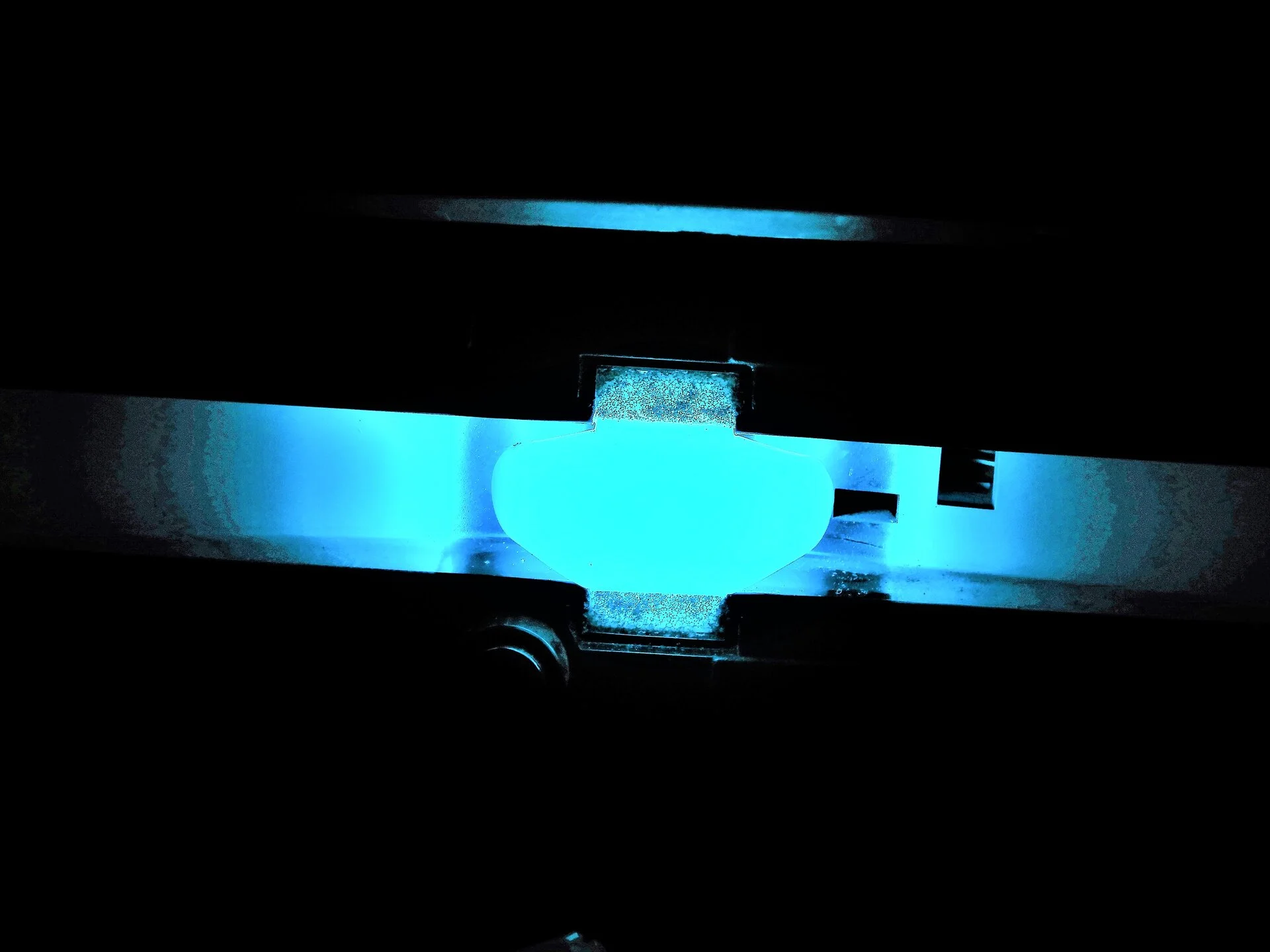 DSCN9742.webp
