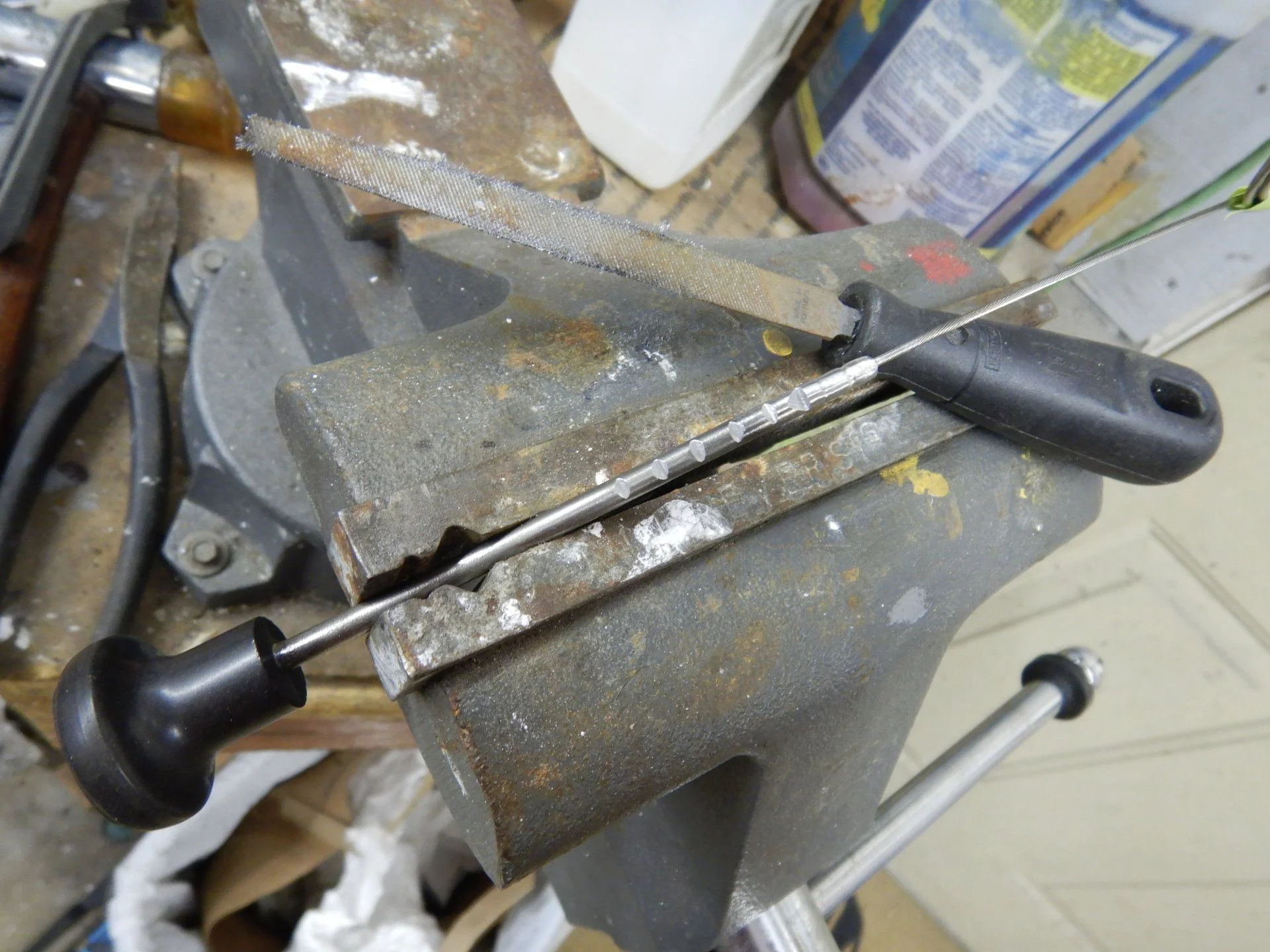 DSCN9881.webp