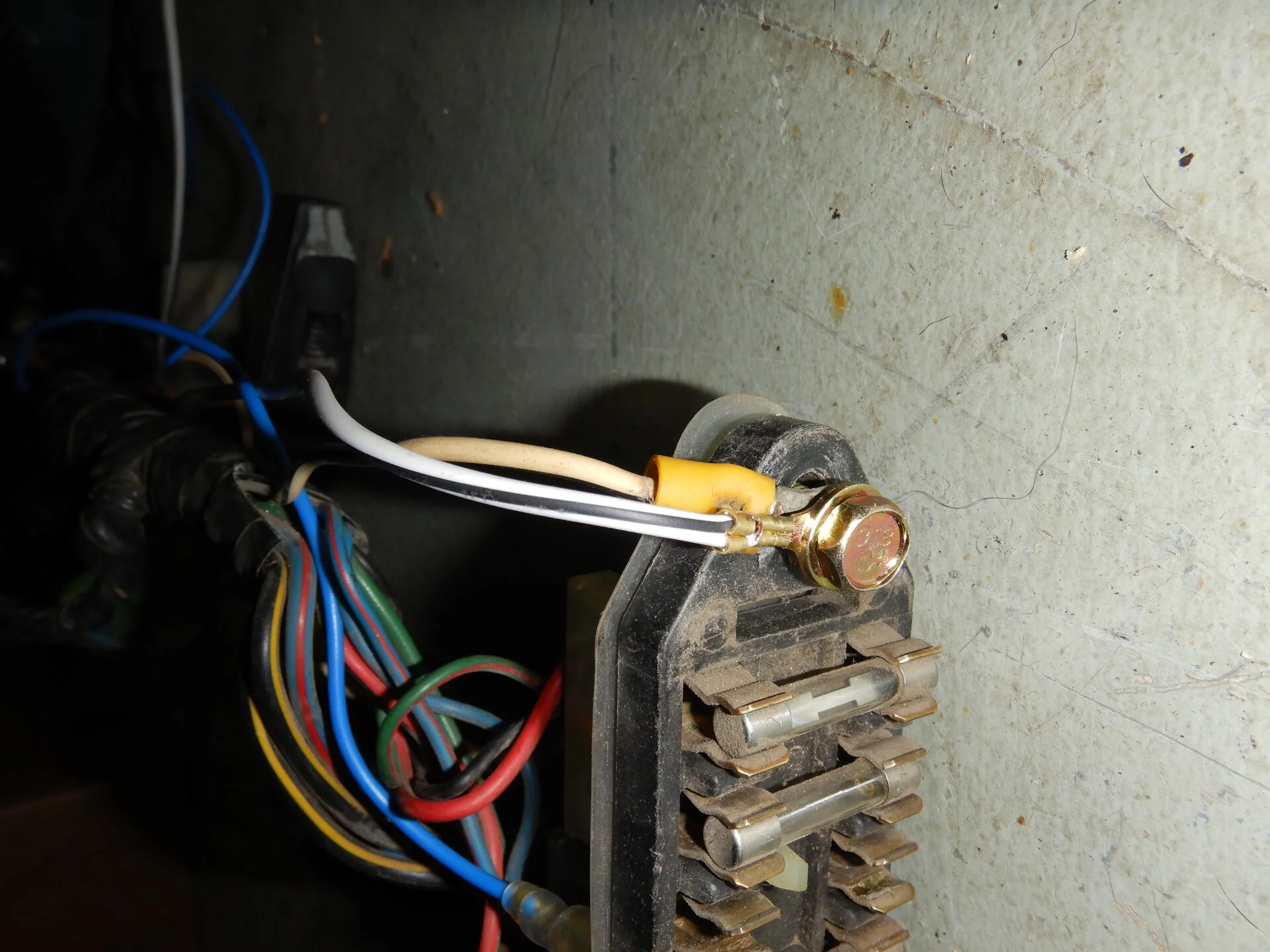 DSCN9895.webp