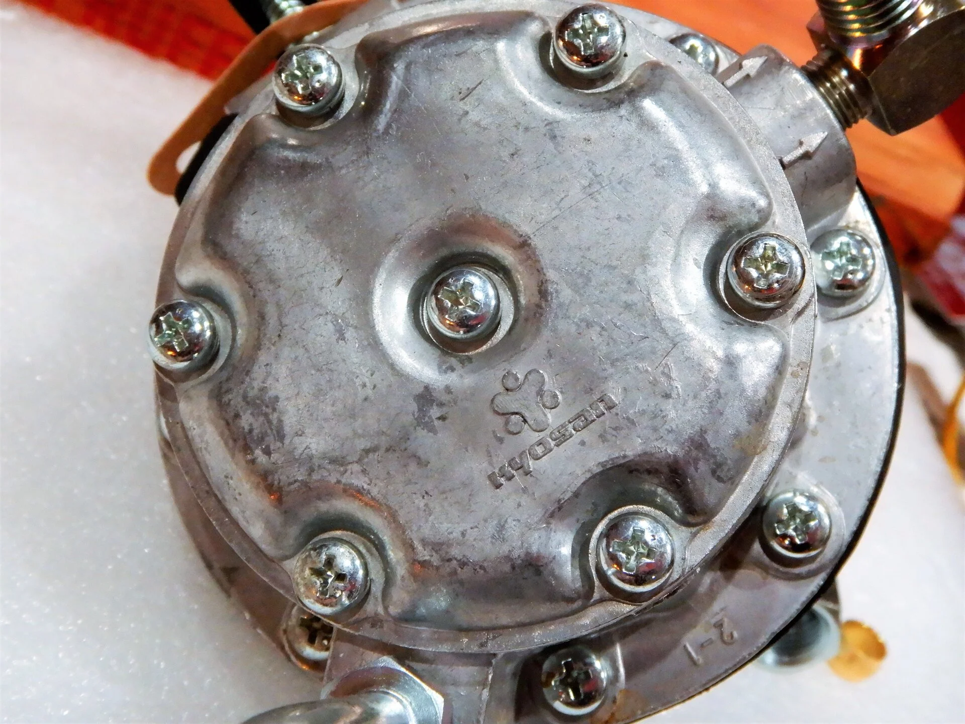 DSCN9936 (2).webp