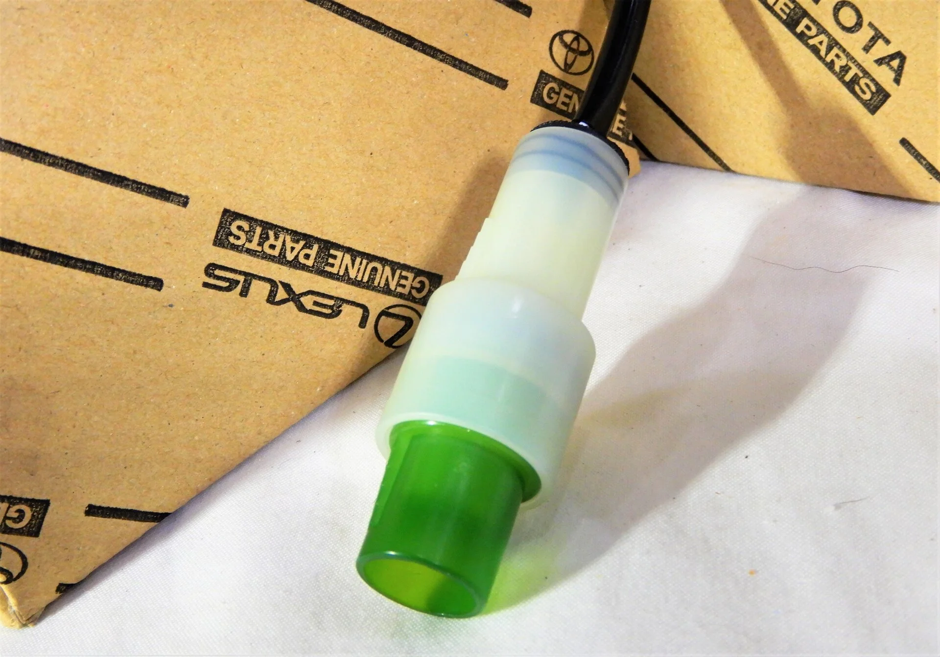 DSCN9946.webp