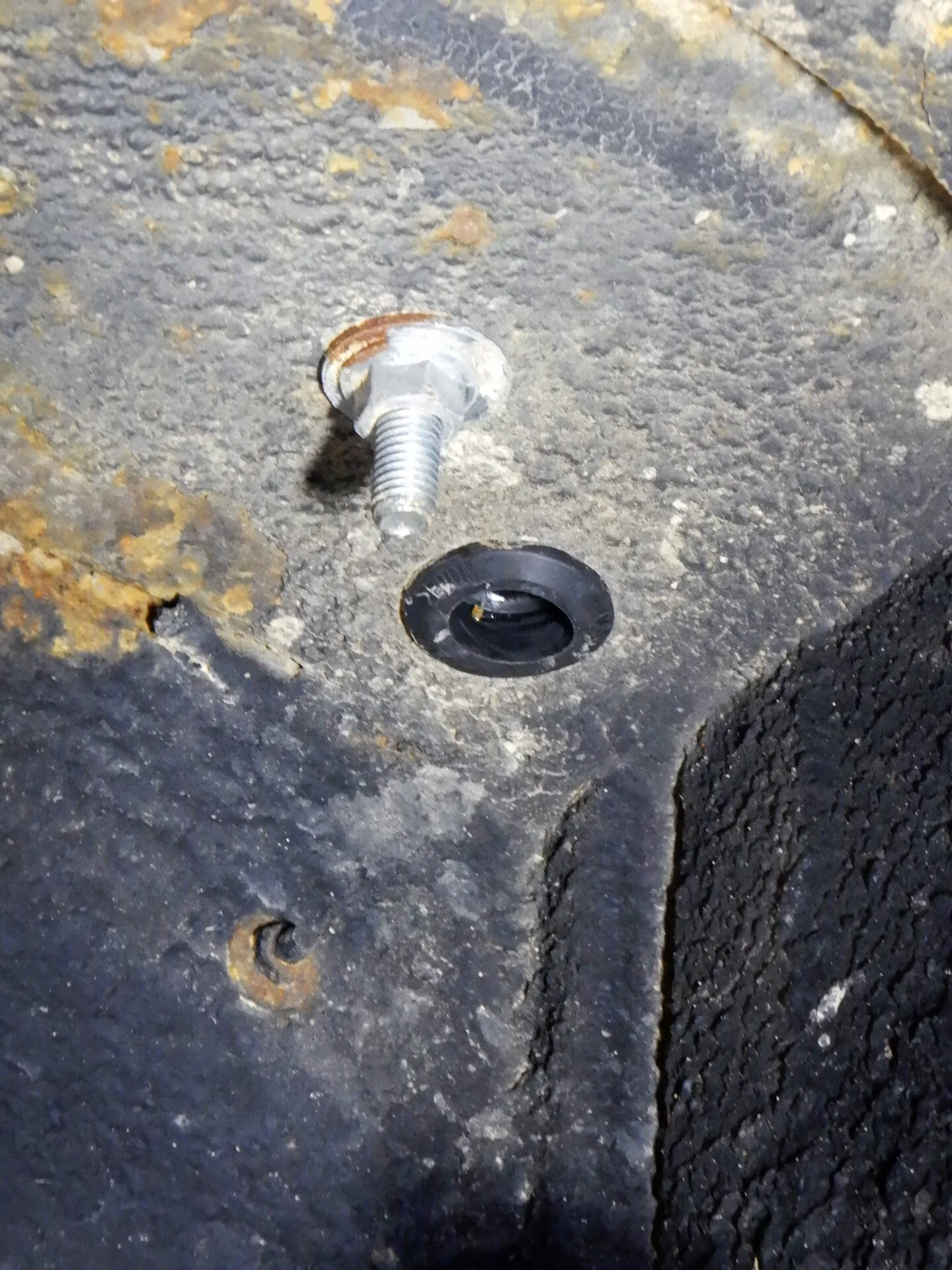 DSCN9962.webp