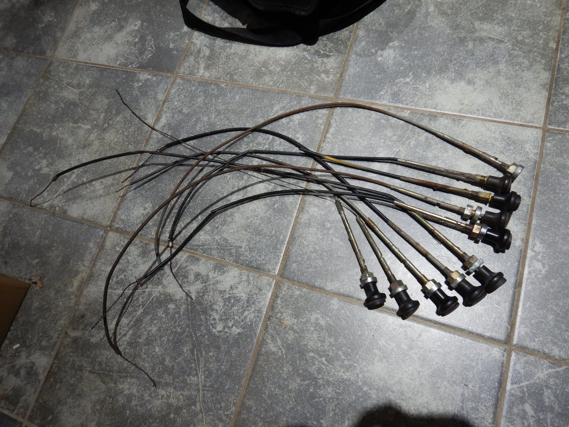DSCN9987.webp