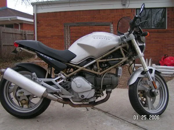 duc1.webp