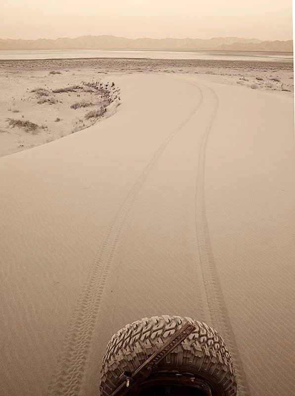 DUNES-800.webp
