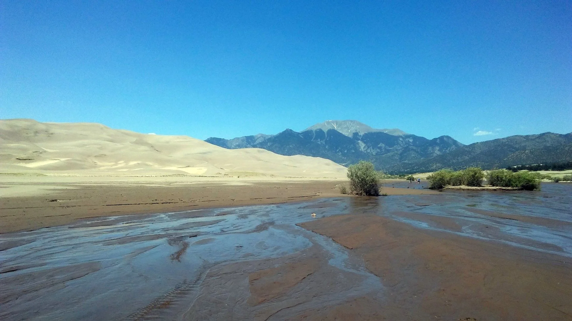 Dunes1.webp