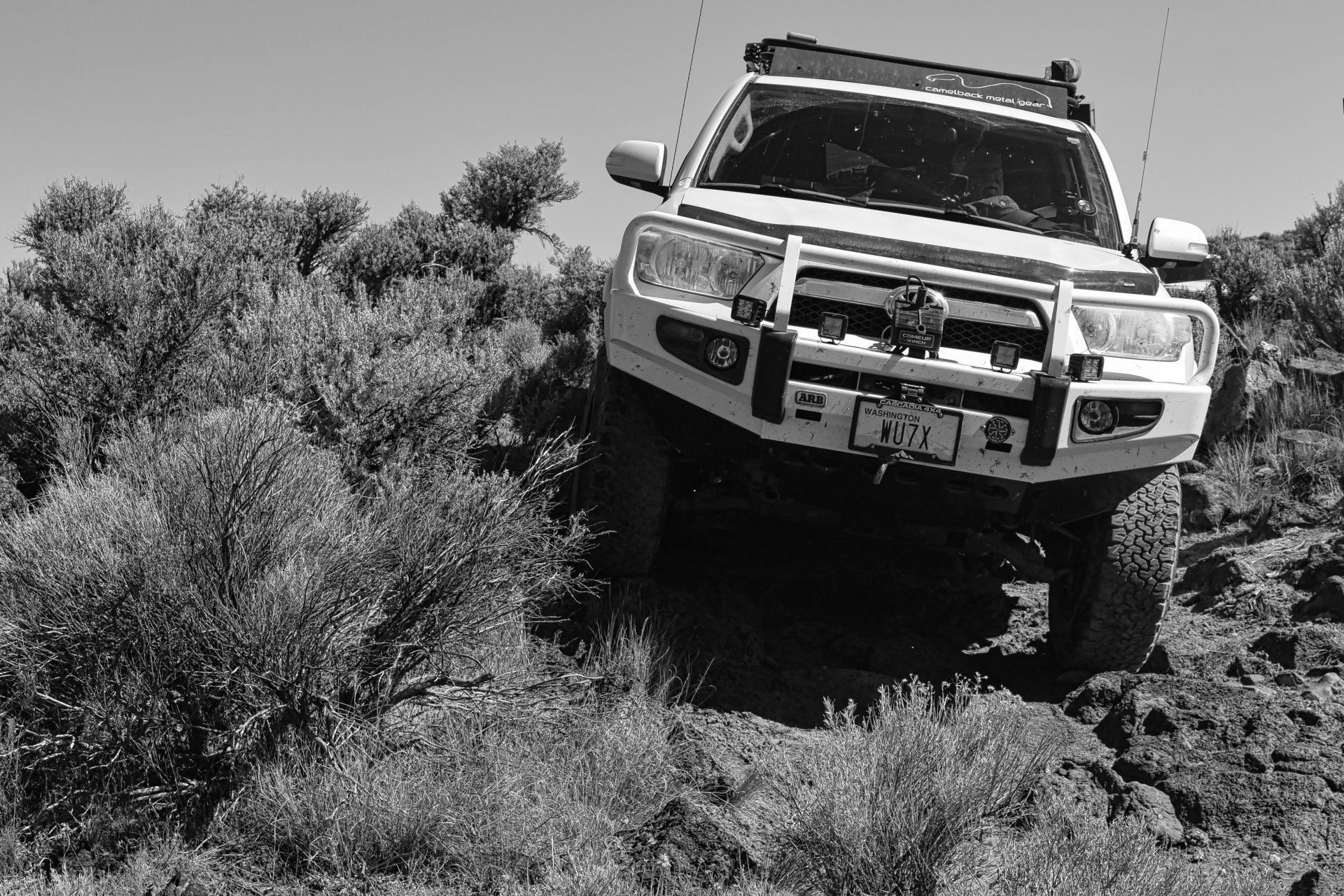 Dusty ORBDR B&W.jpeg