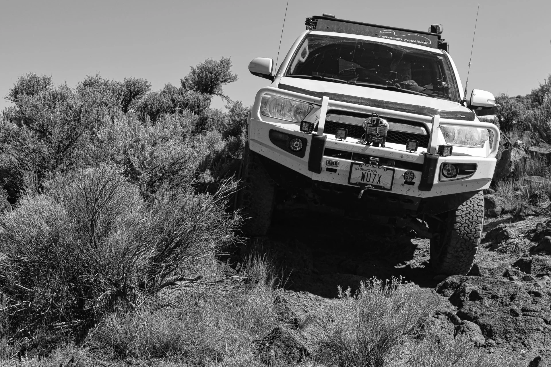 Dusty ORBDR B&W.webp