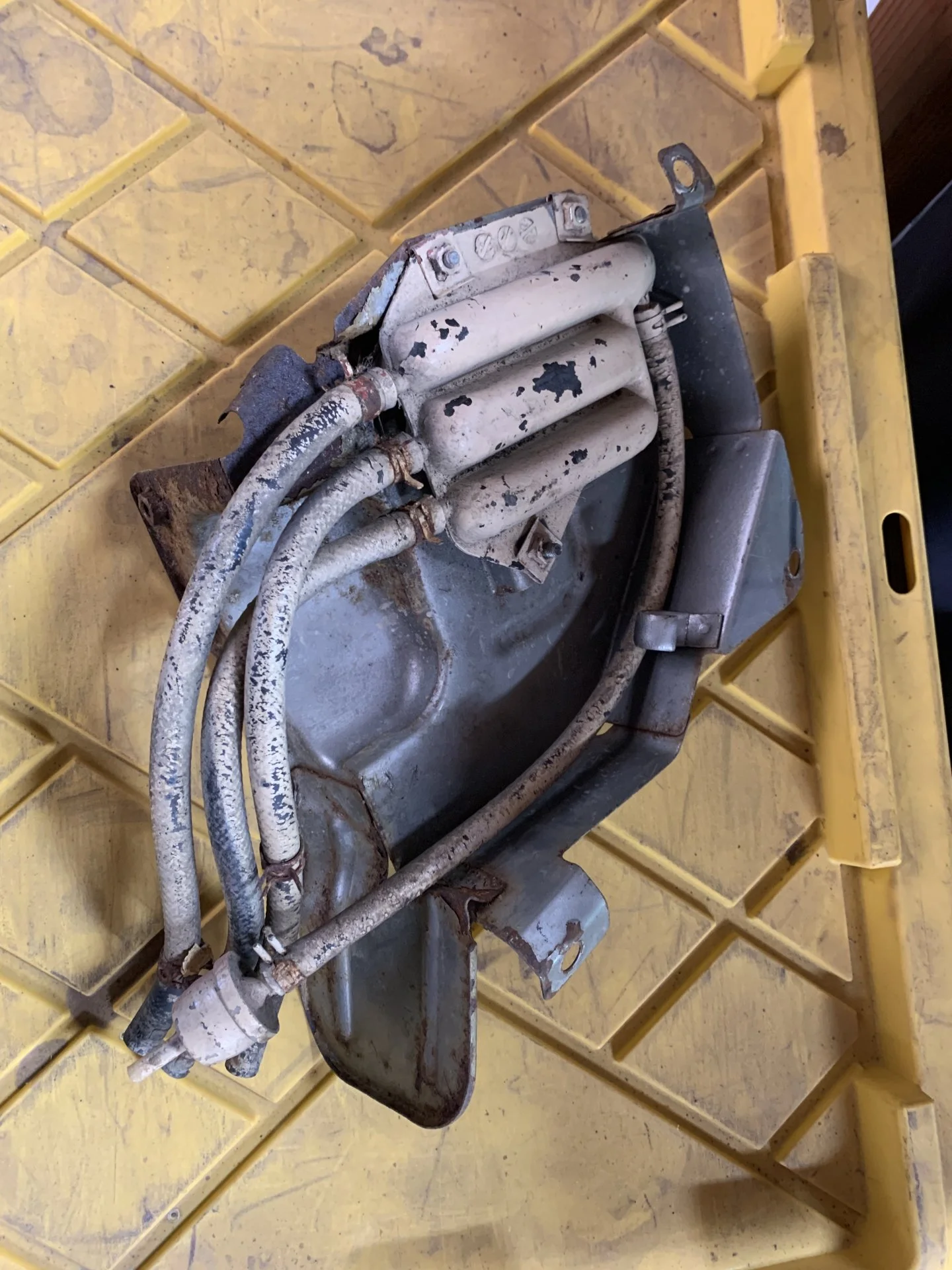 E247084E-2A94-4A48-81E6-CD6539FAA017.webp