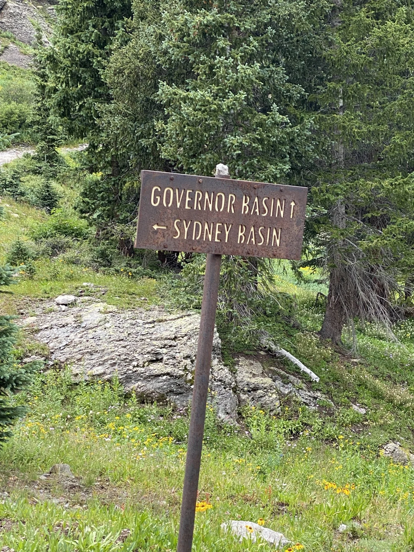 E253BD18-6052-4A78-B096-8F881B15825D.jpeg