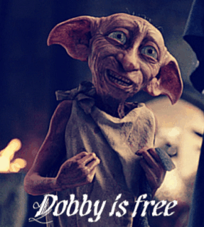 e3319e8748500c7e6dfa291ac4106c3e43facab5_00.gif