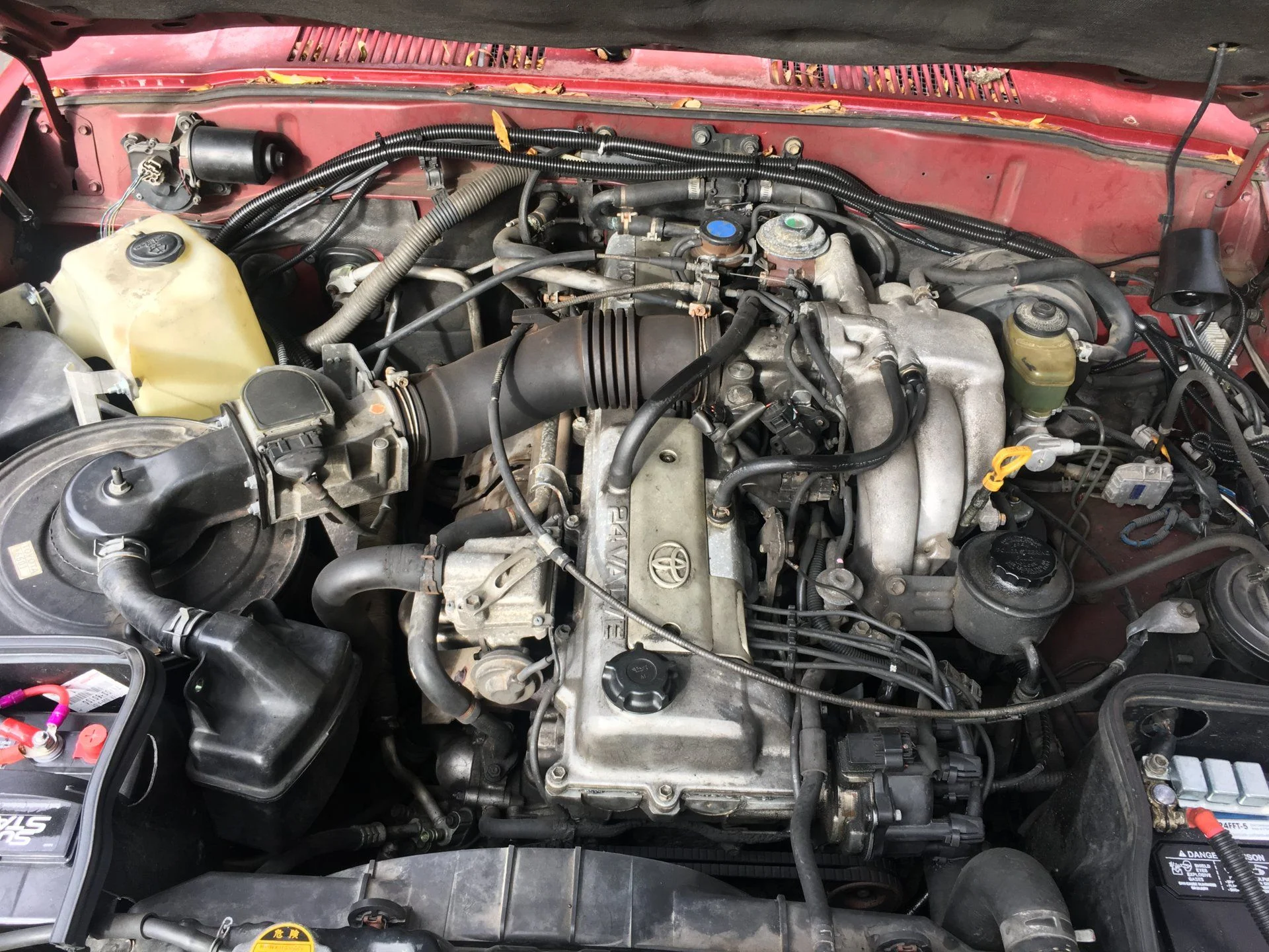 E450B5F1-8E3B-4CEA-8ADB-29460C1B9F0C.webp