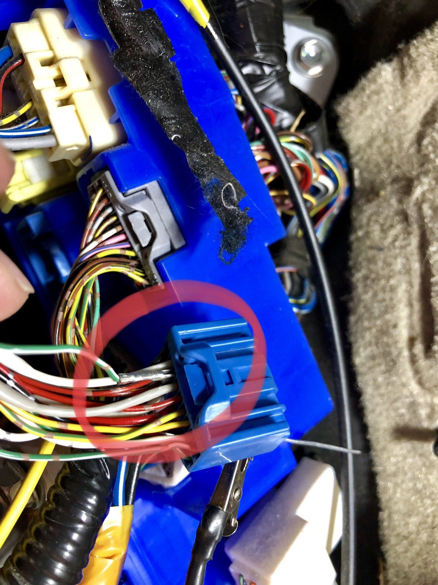 E4834E15-E5D4-4AD1-A531-EE121AFE7F35.jpeg