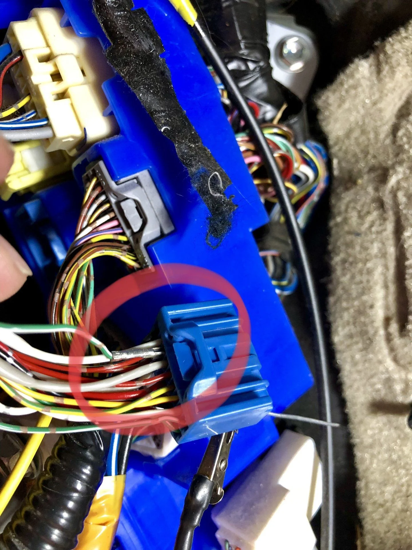 E4834E15-E5D4-4AD1-A531-EE121AFE7F35.webp