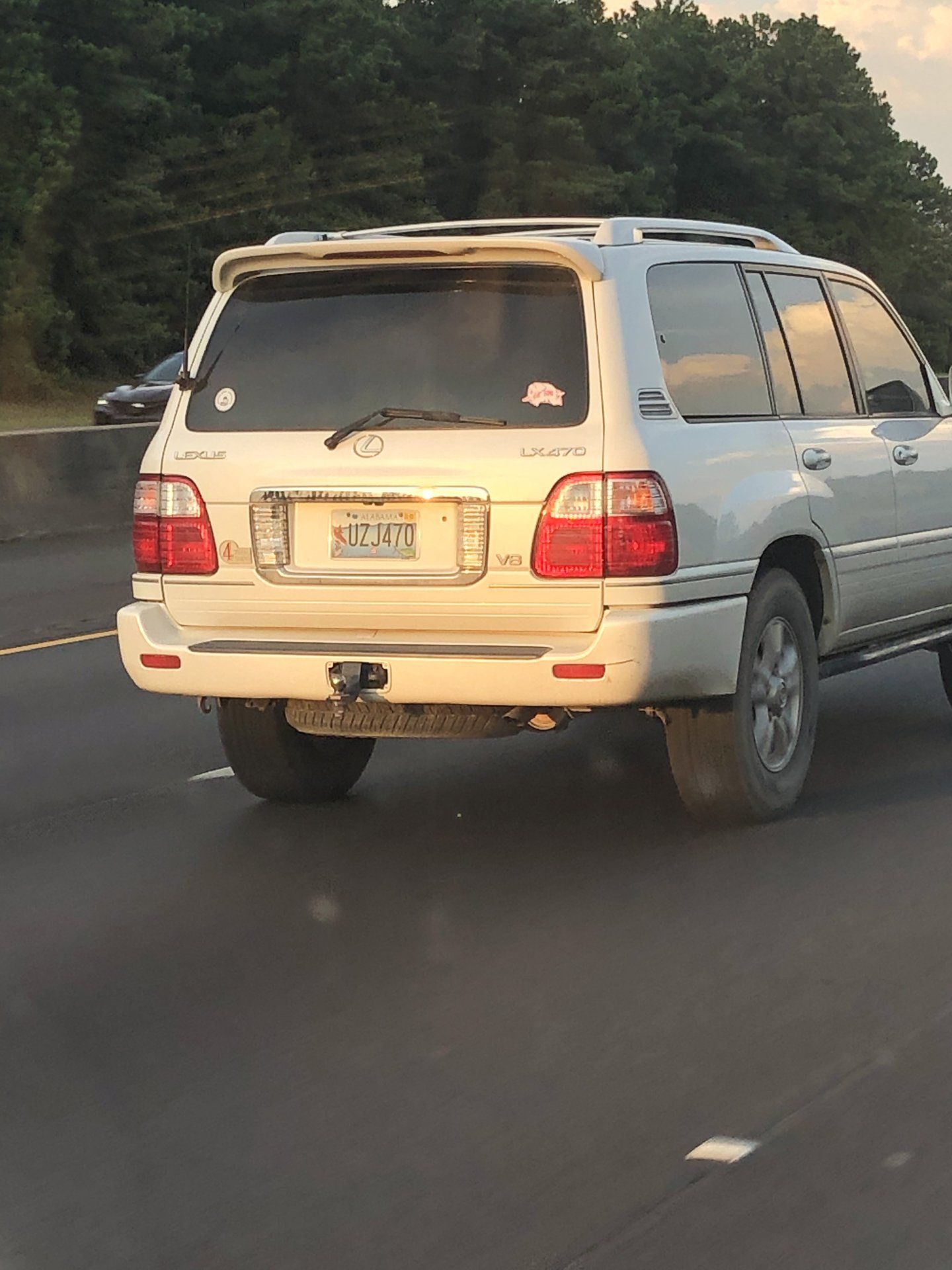 E65C2D54-9FC4-44DC-9A59-E7AAC1F71D92.jpeg