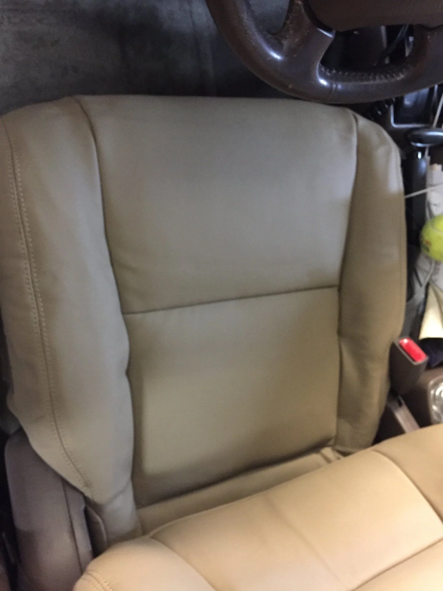 E6693AFF-39F3-4D09-A1B5-F8EF01AE5207.webp