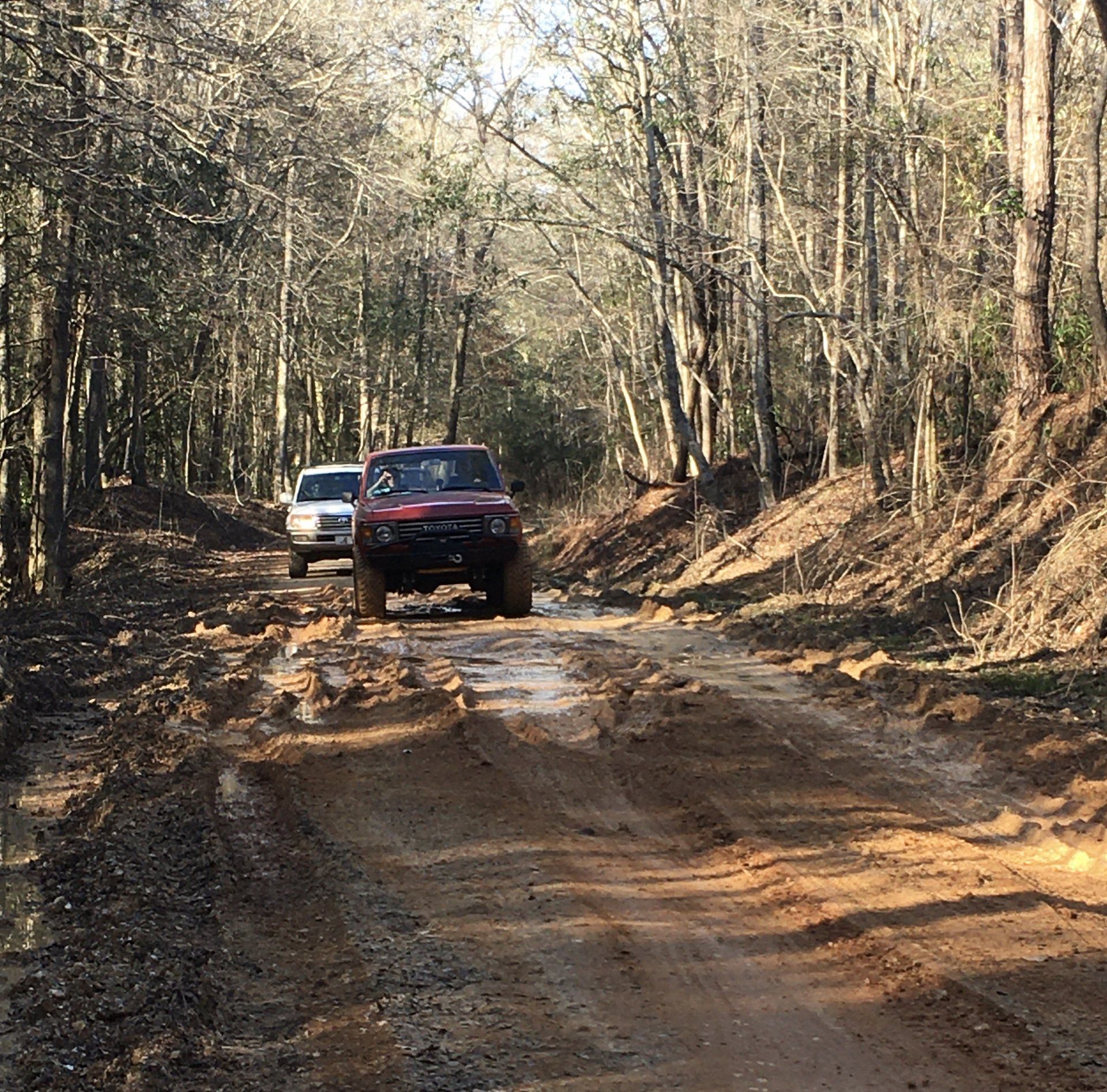 DLC Ride/Shoot Oakmulgee WMA Feb 20th IH8MUD Forum