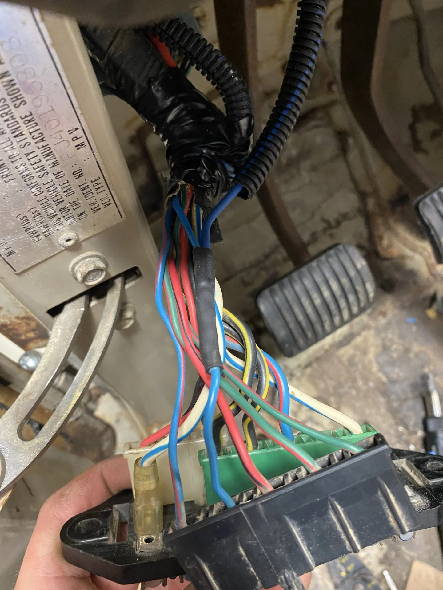 E8969007-6B8E-452C-B231-E4134A4857E7.jpeg