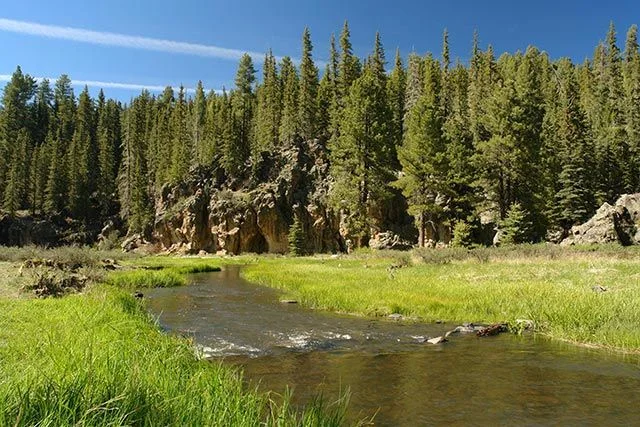 East-Fork.webp
