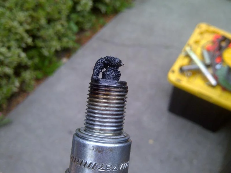 East Seattle-20120727-00864.webp