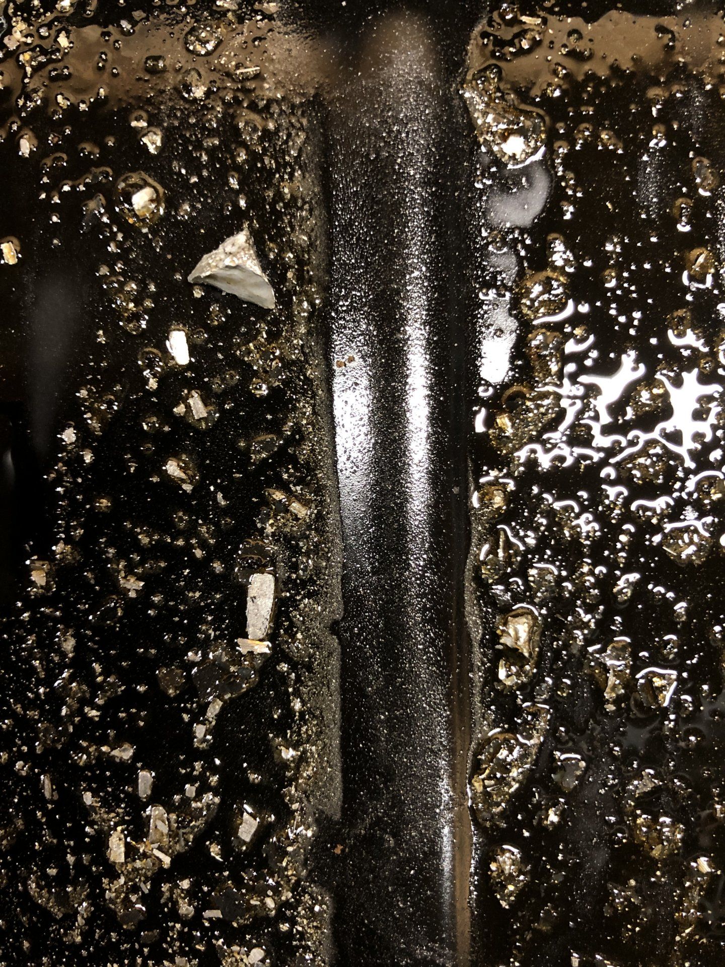 EBB70952-1036-4816-BEB7-DDBA22B14581.jpeg