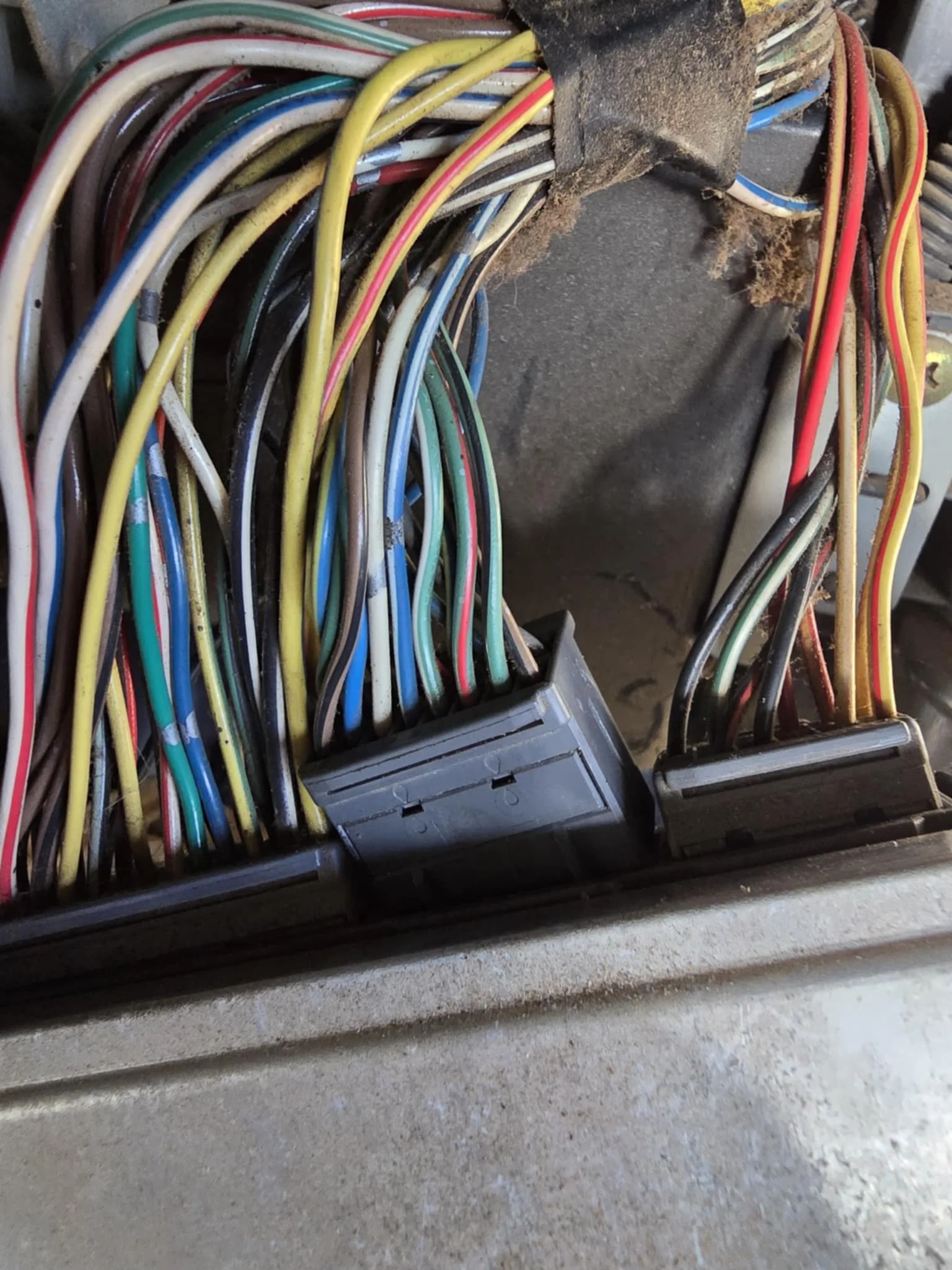 ECU connector.webp