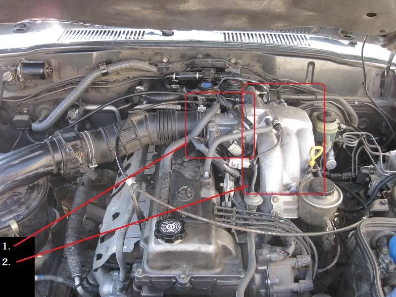 EGR 2.webp
