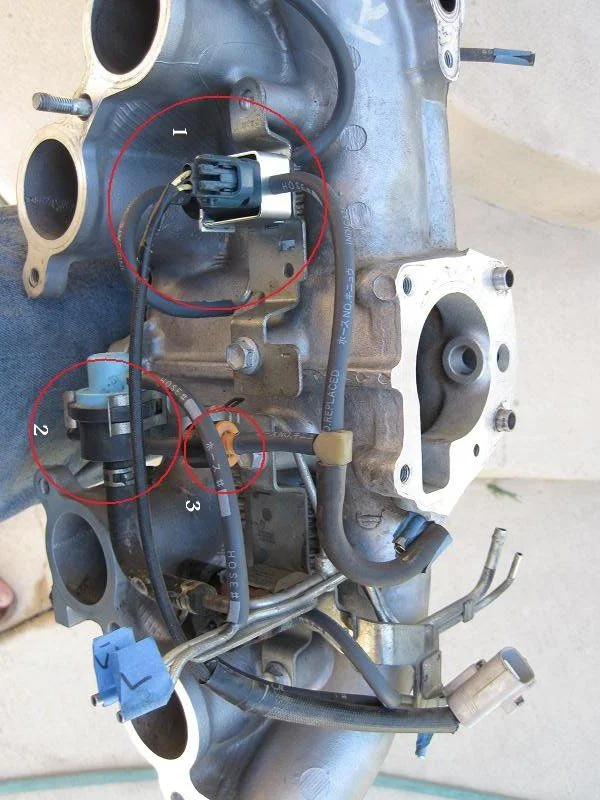 EGR 21.webp