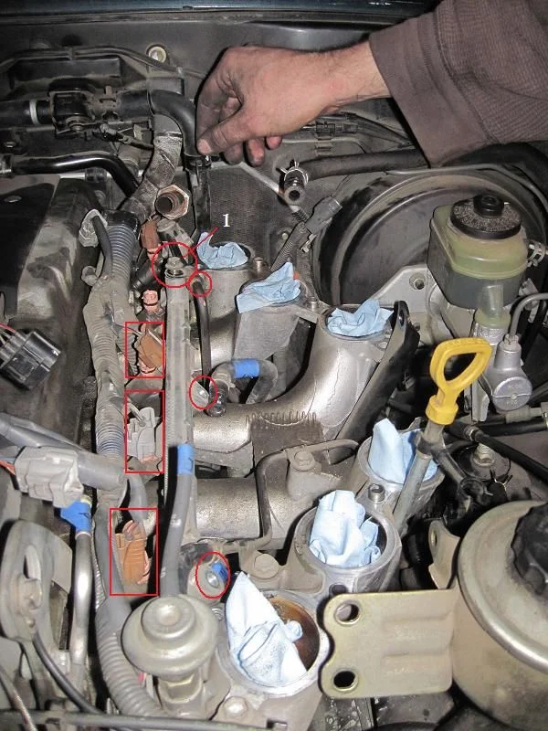 EGR 22.webp
