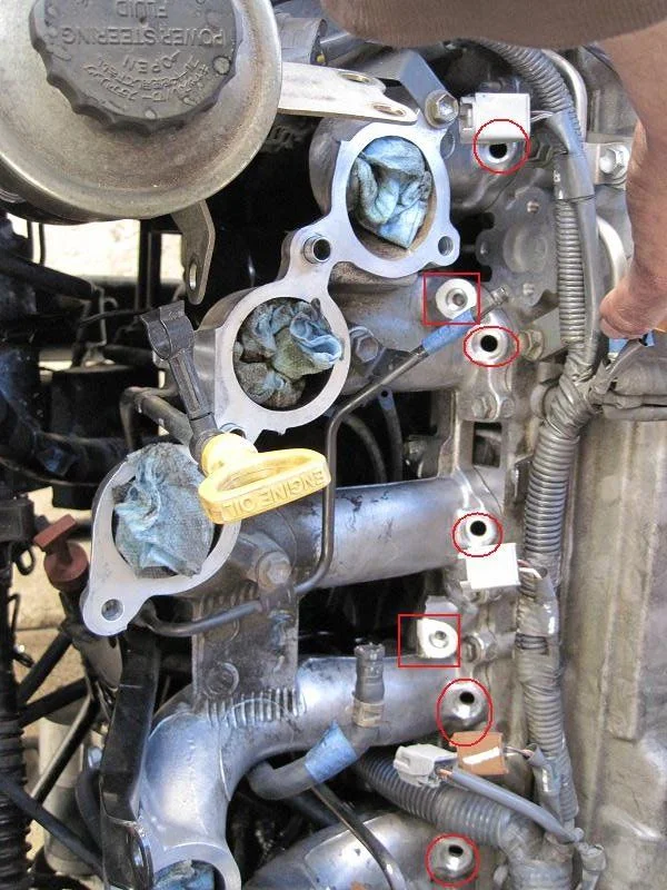 EGR 28.webp