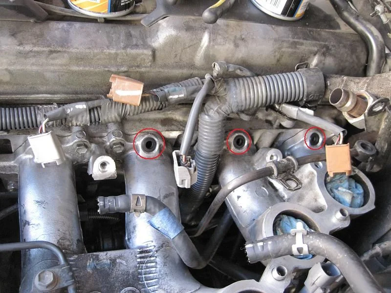 EGR 30.webp