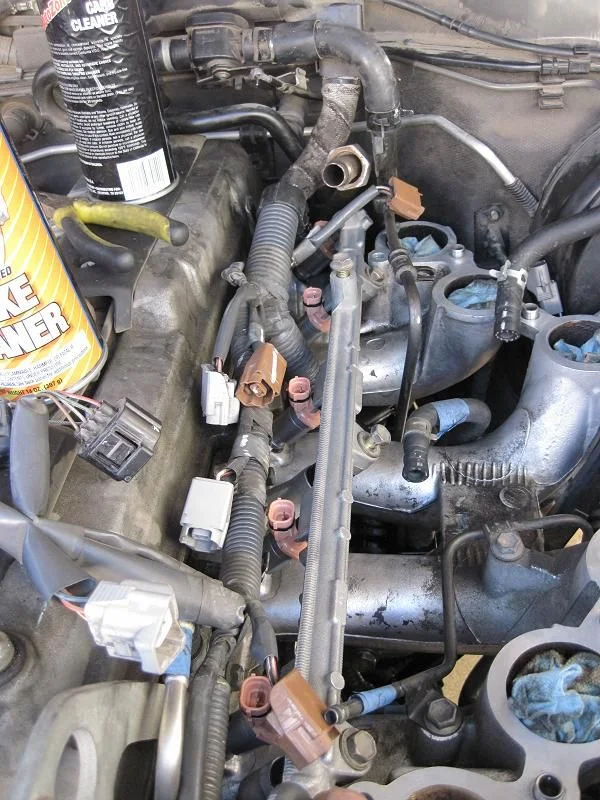 EGR 31.webp