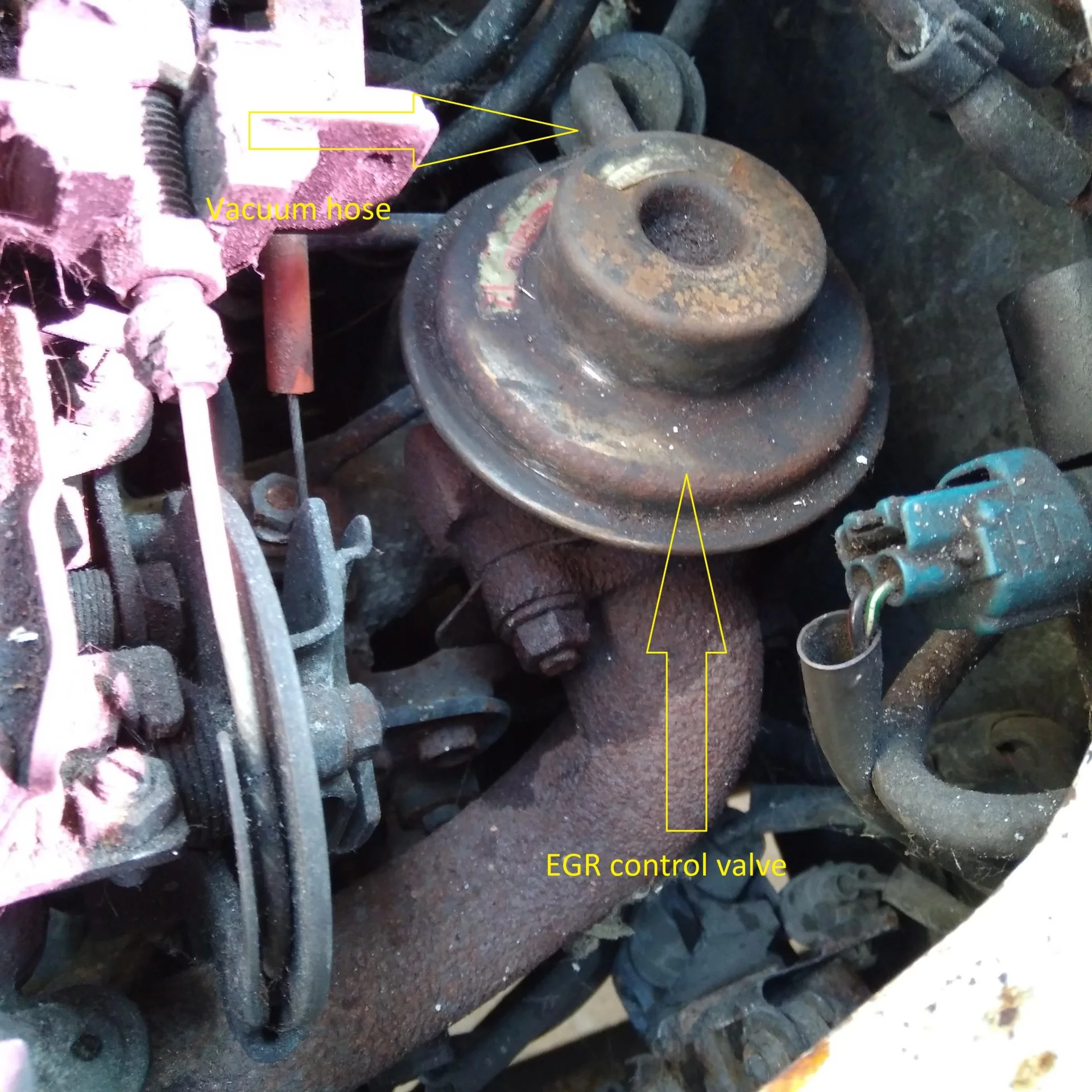 EGR components.webp