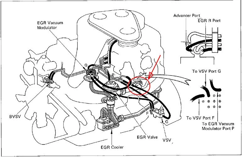 egr vacuum.webp