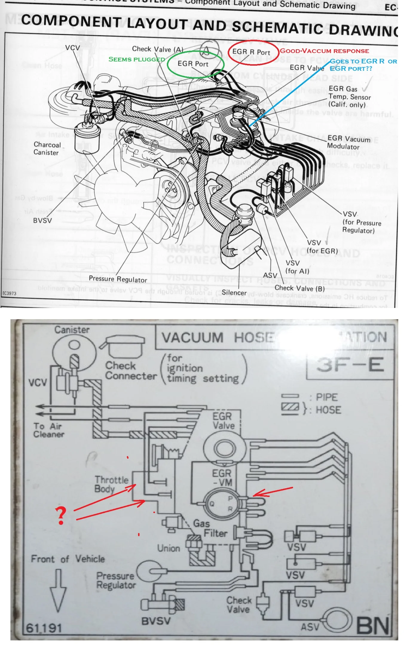 EGR001.webp