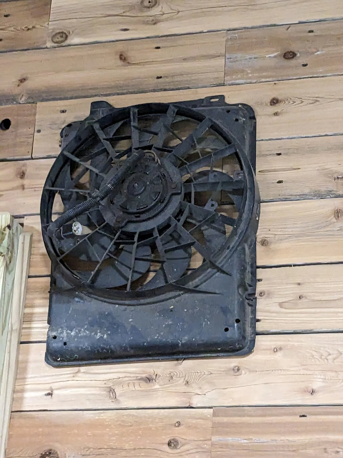 ElectricFan.webp