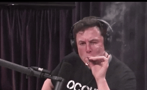 elonsmoke.gif