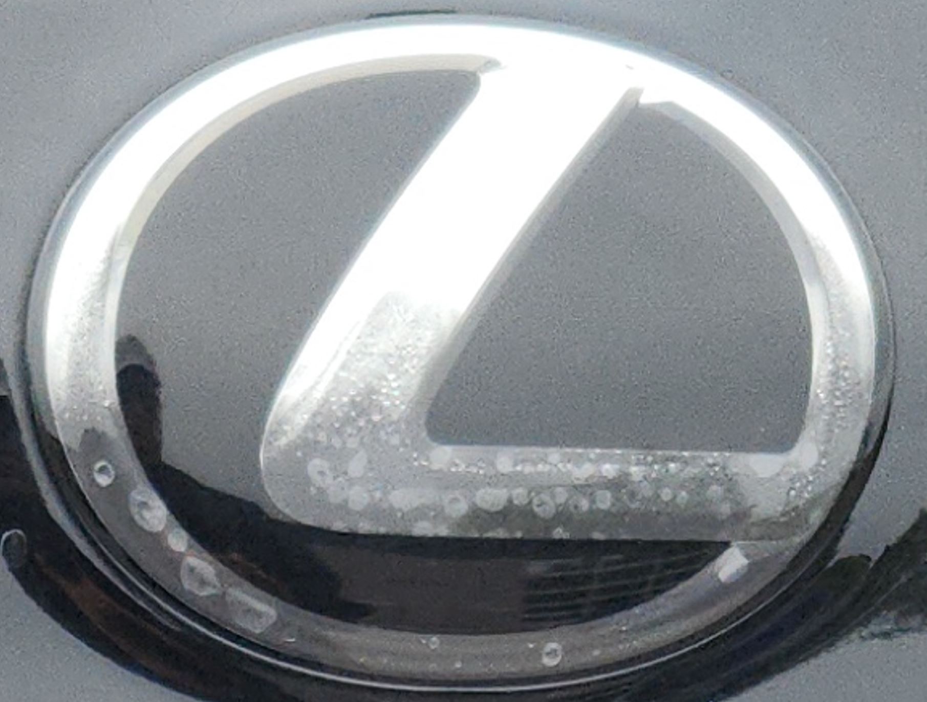 Emblem.JPG