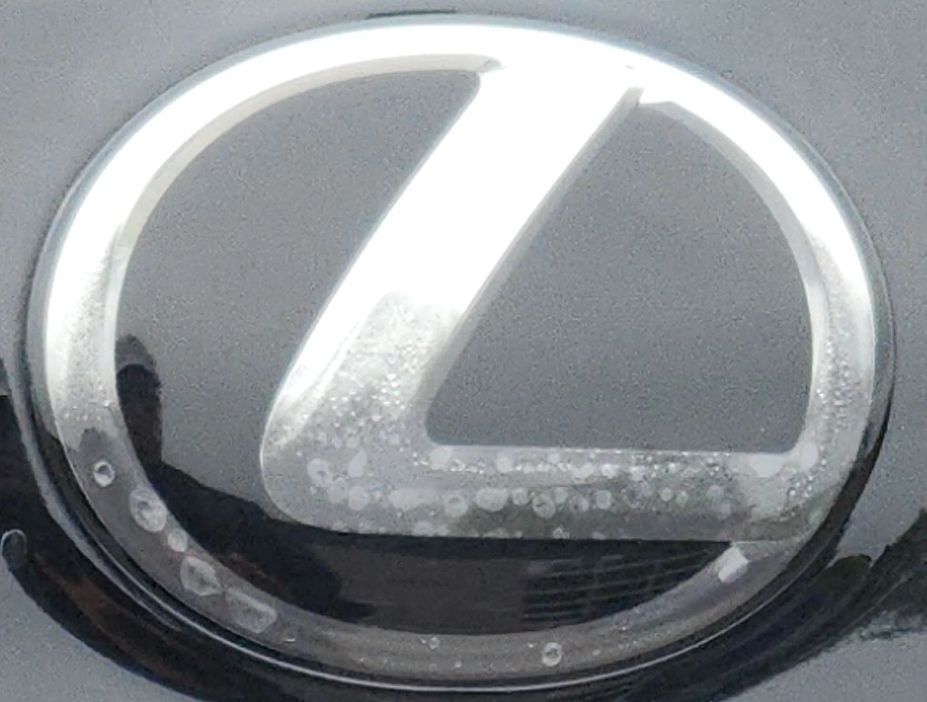 Emblem.webp
