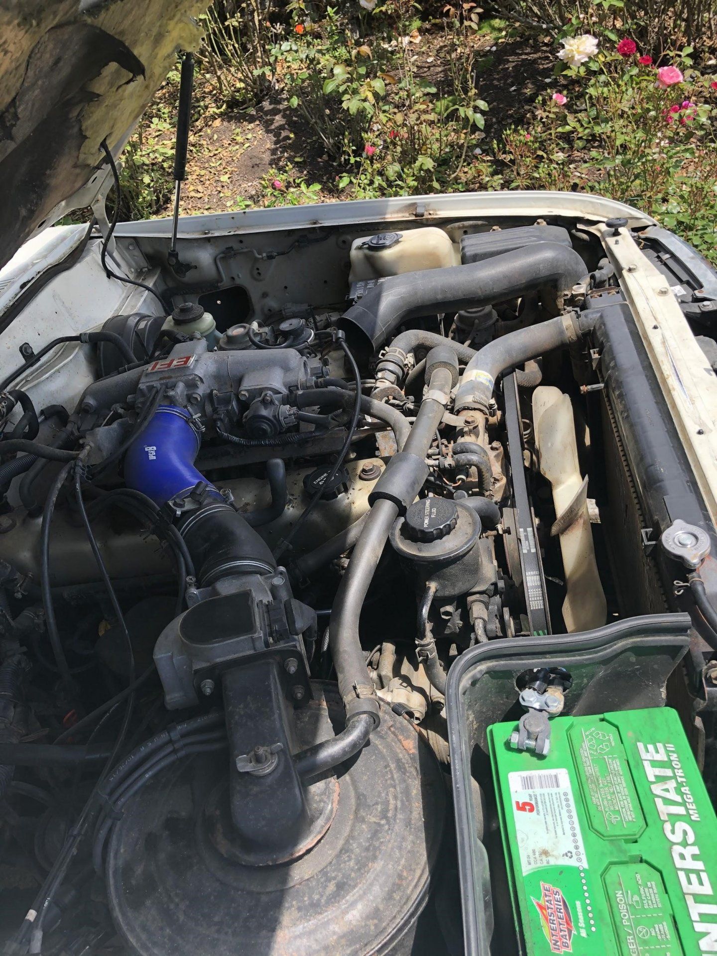 Engine 2.jpg