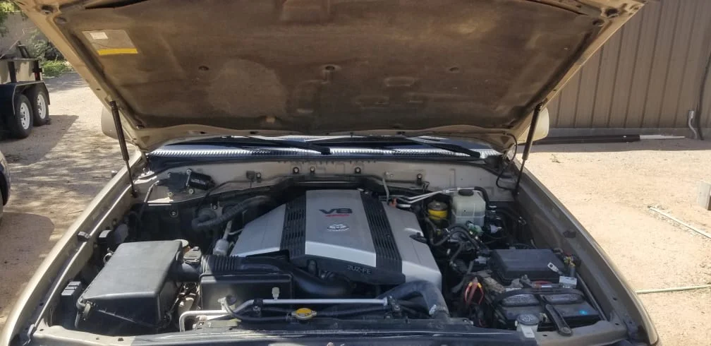 Engine bay.jpg