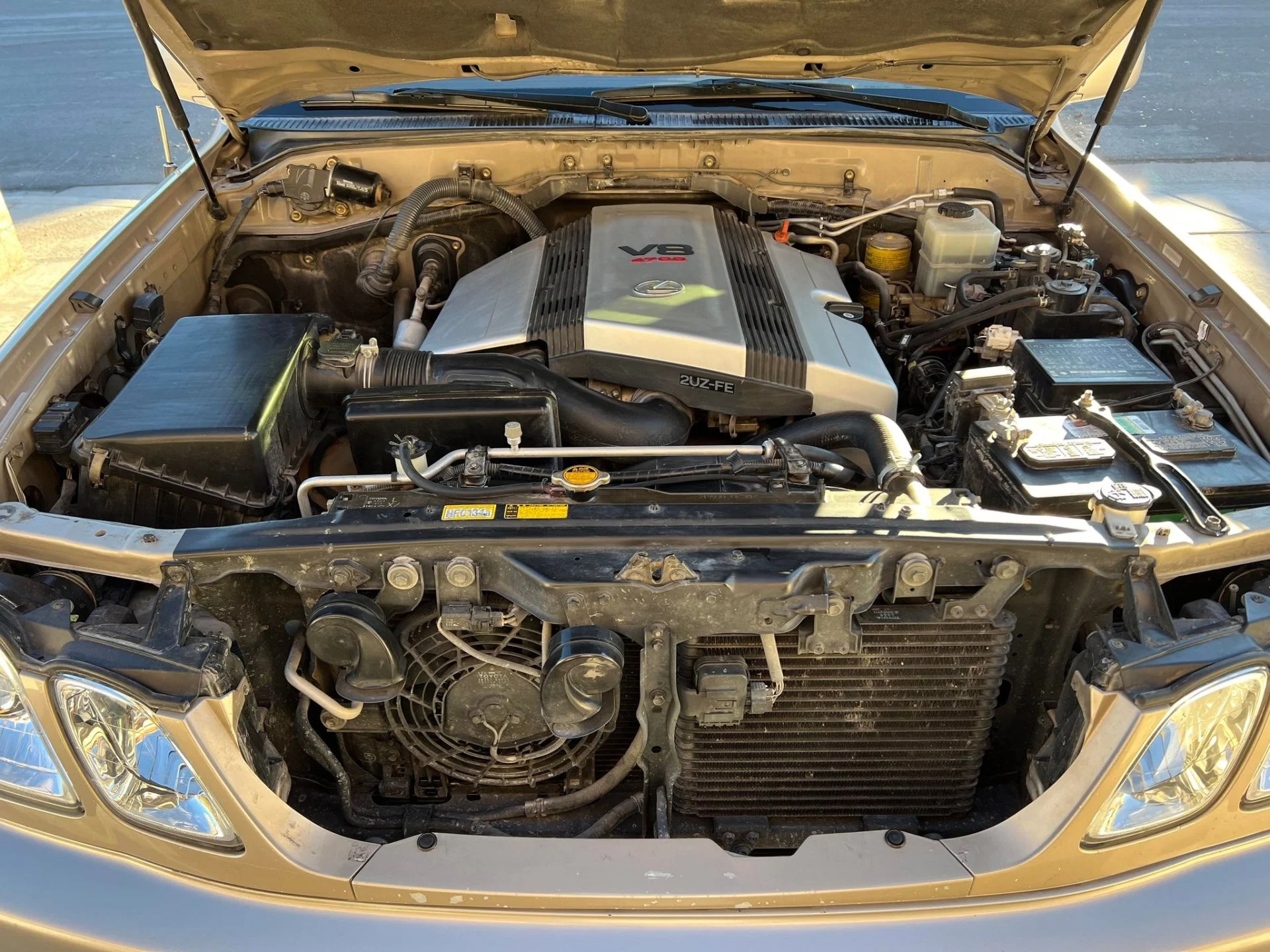 Engine bay.jpg