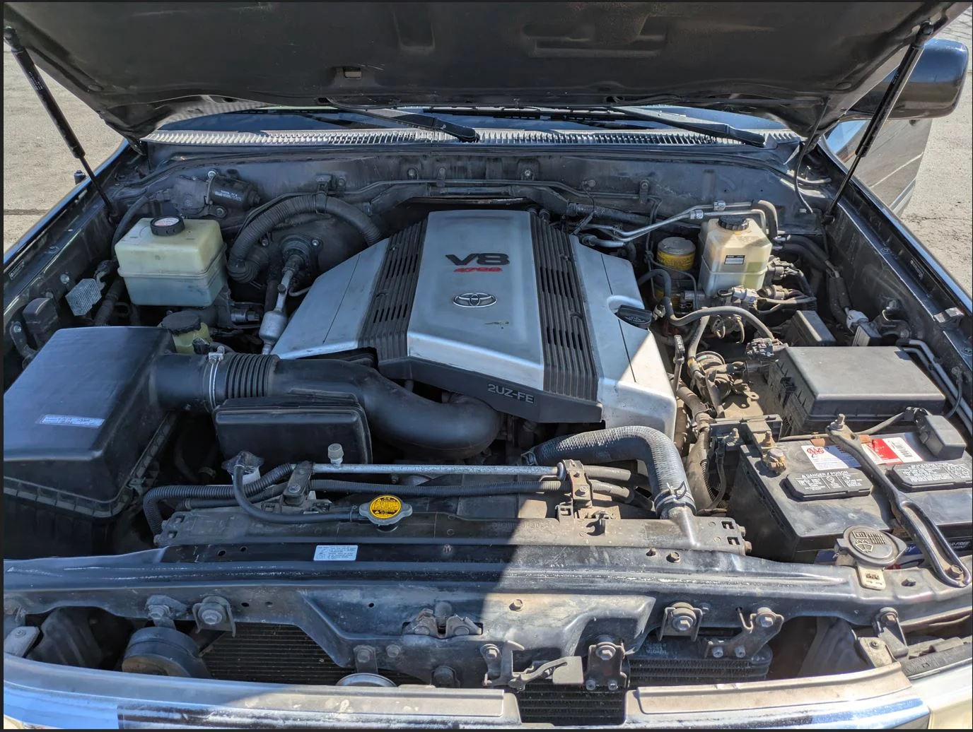 Engine Bay.JPG