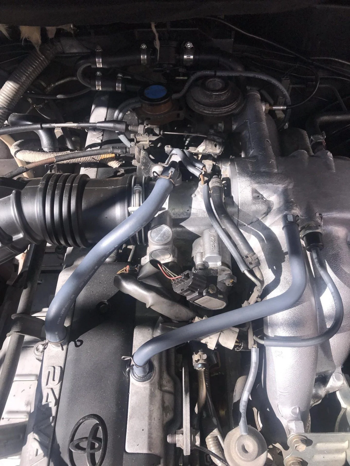 Engine Hoses.jpg