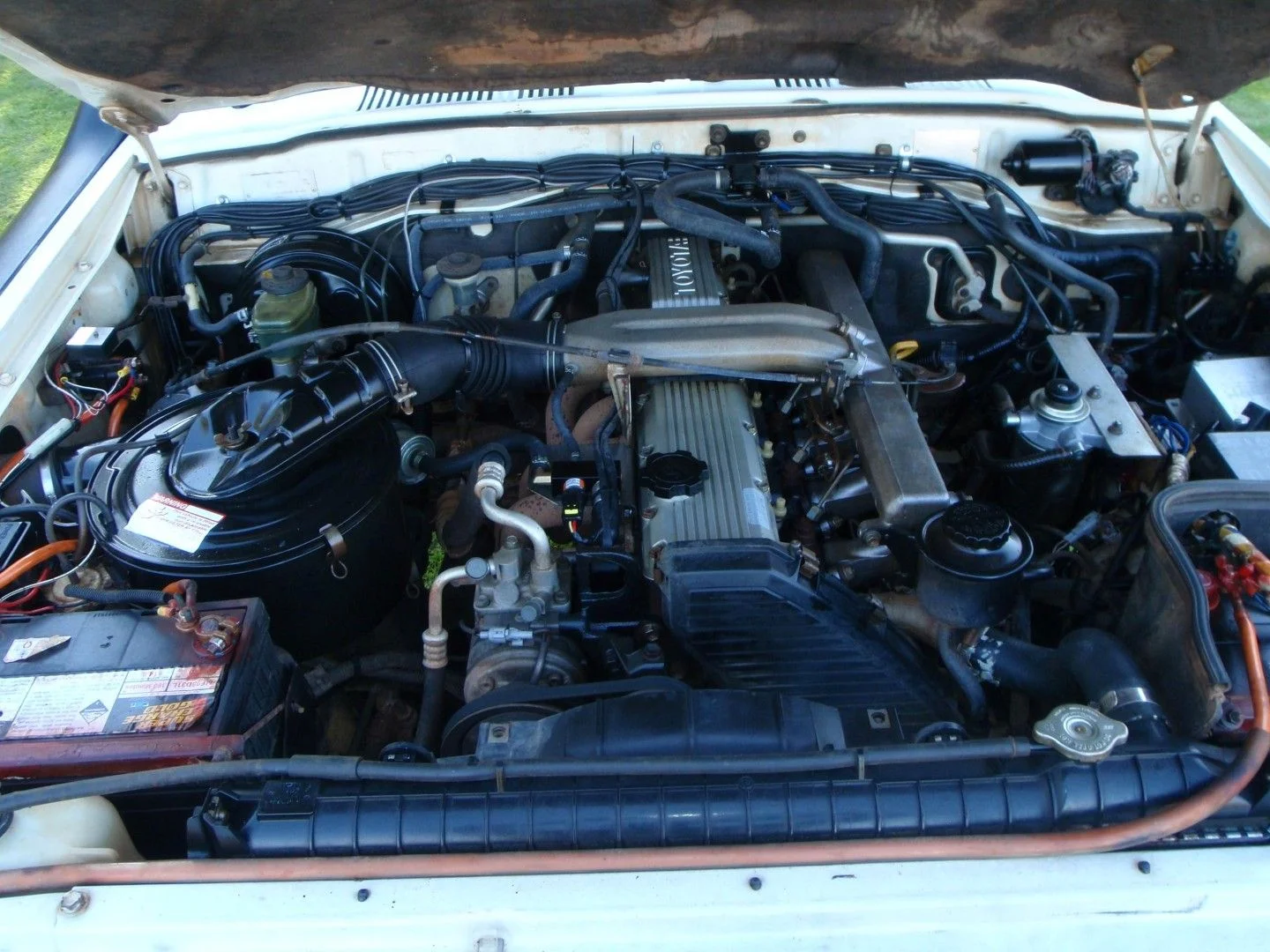 engine (Large).webp